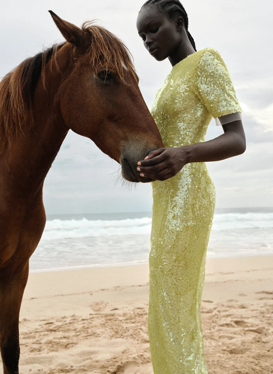 Kaia Sleeve Midi Dress - Rachel Gilbert