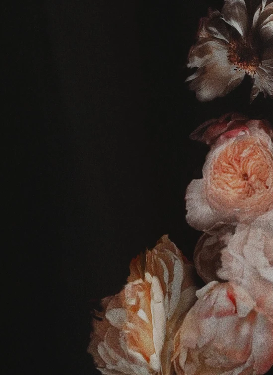 Hypnotic Flutter Blouse - Zimmermann