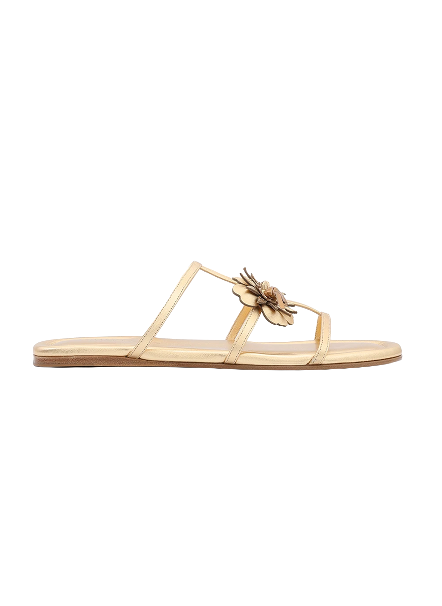 Belera Slide - Zimmermann
