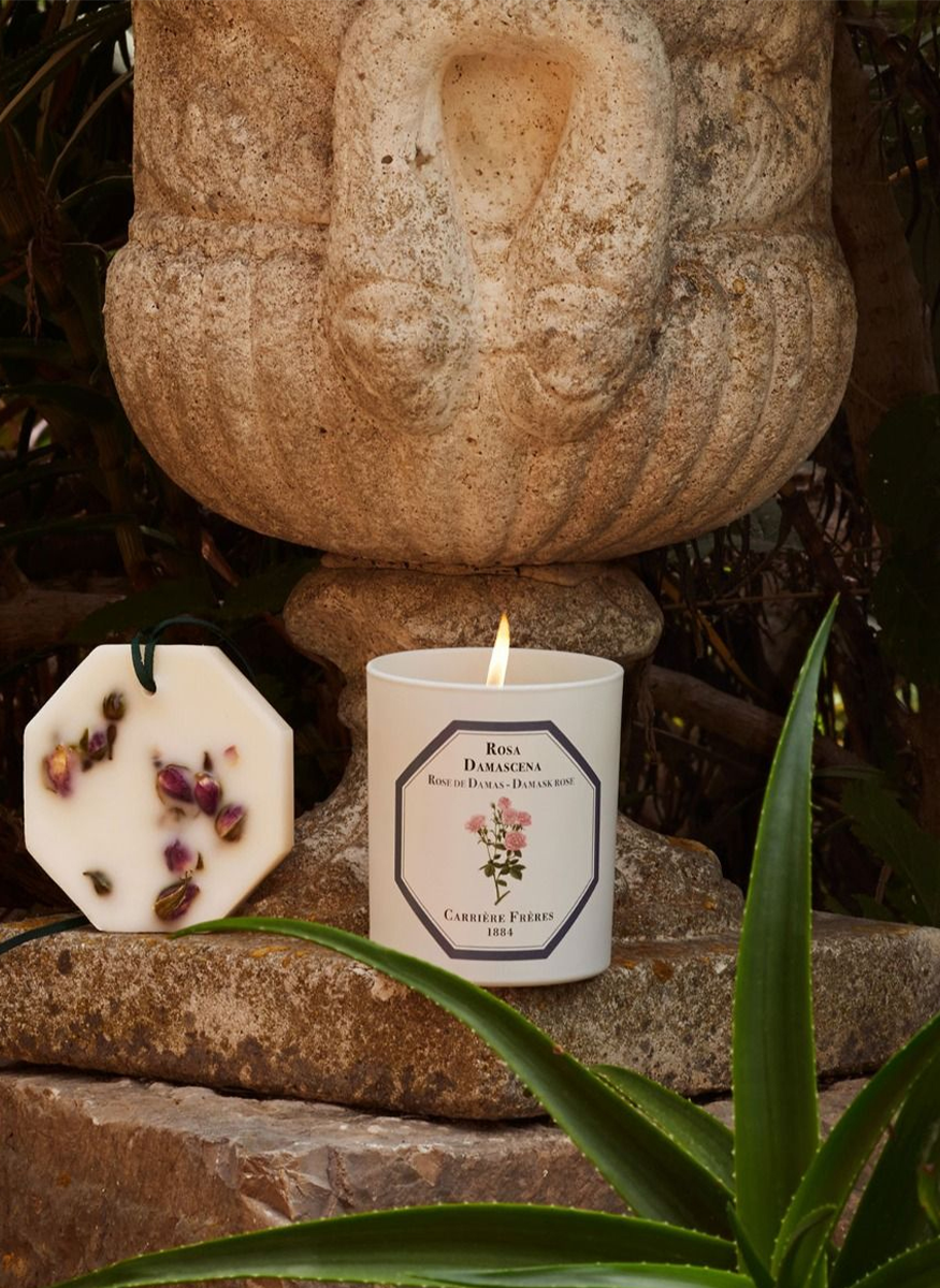 Botanical Candle in Damask Rose - Rosa Damascena