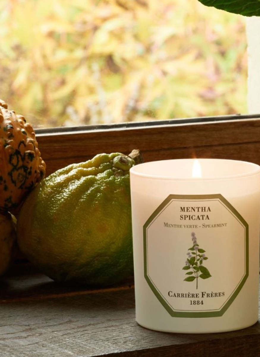 Botanical Candle in Spearmint - Mentha Spicata