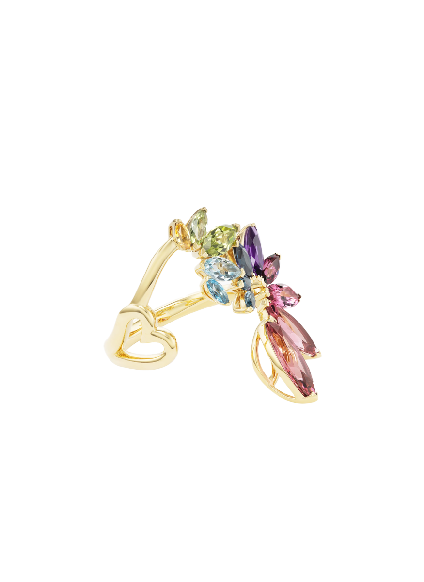 Arashi Ring - Emily P. Wheeler
