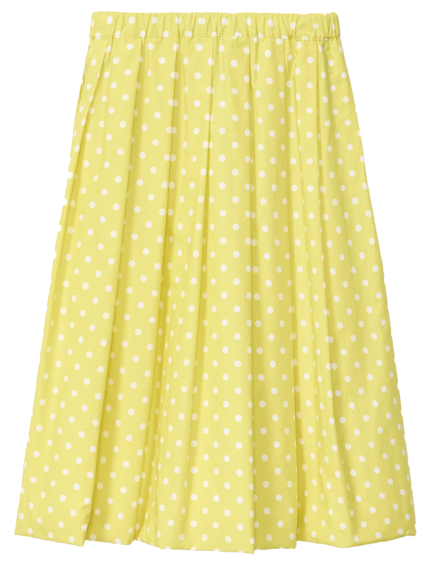 Polka Dot Print Pleated Skirt