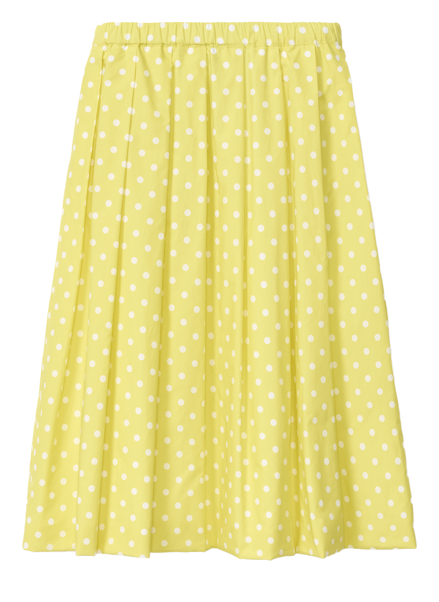 Polka Dot Print Pleated Skirt