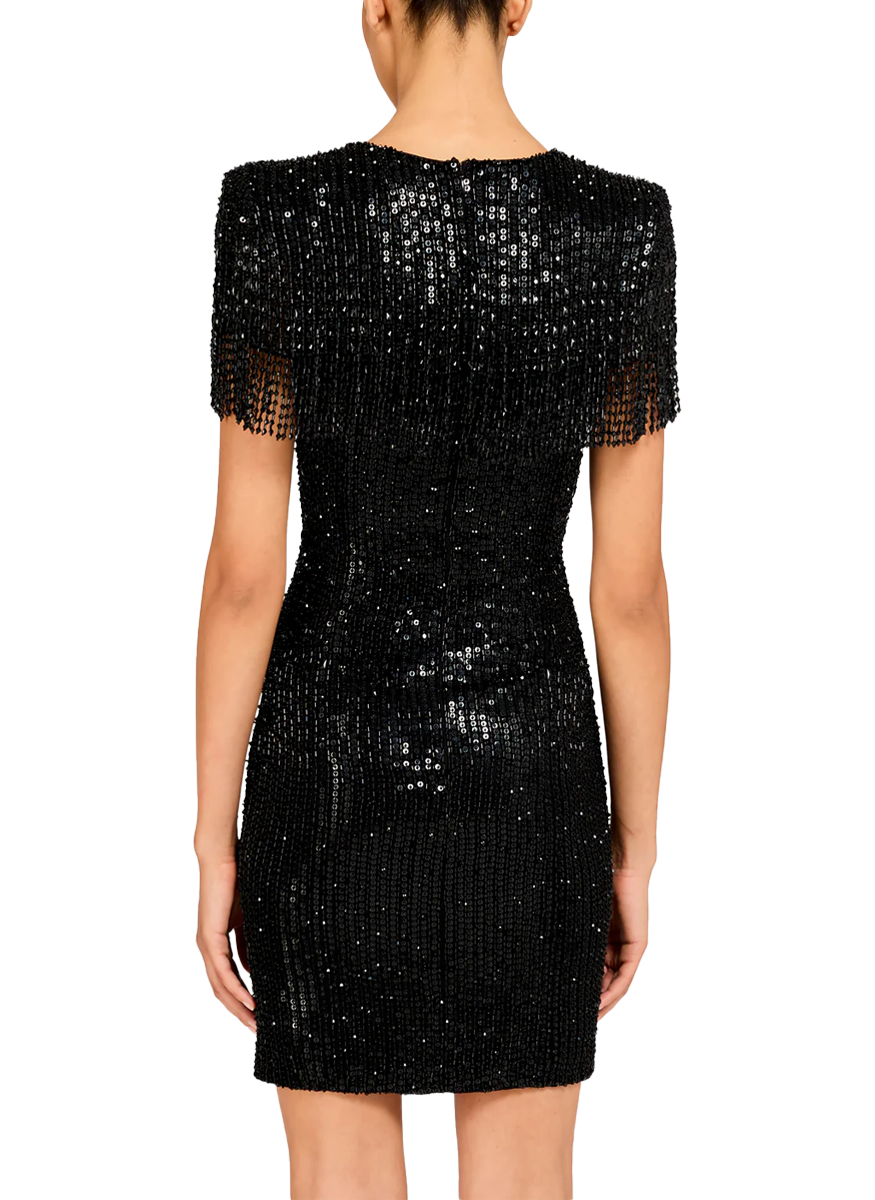 Swish Embellished Cocktail Mini Dress - Jenny Packham