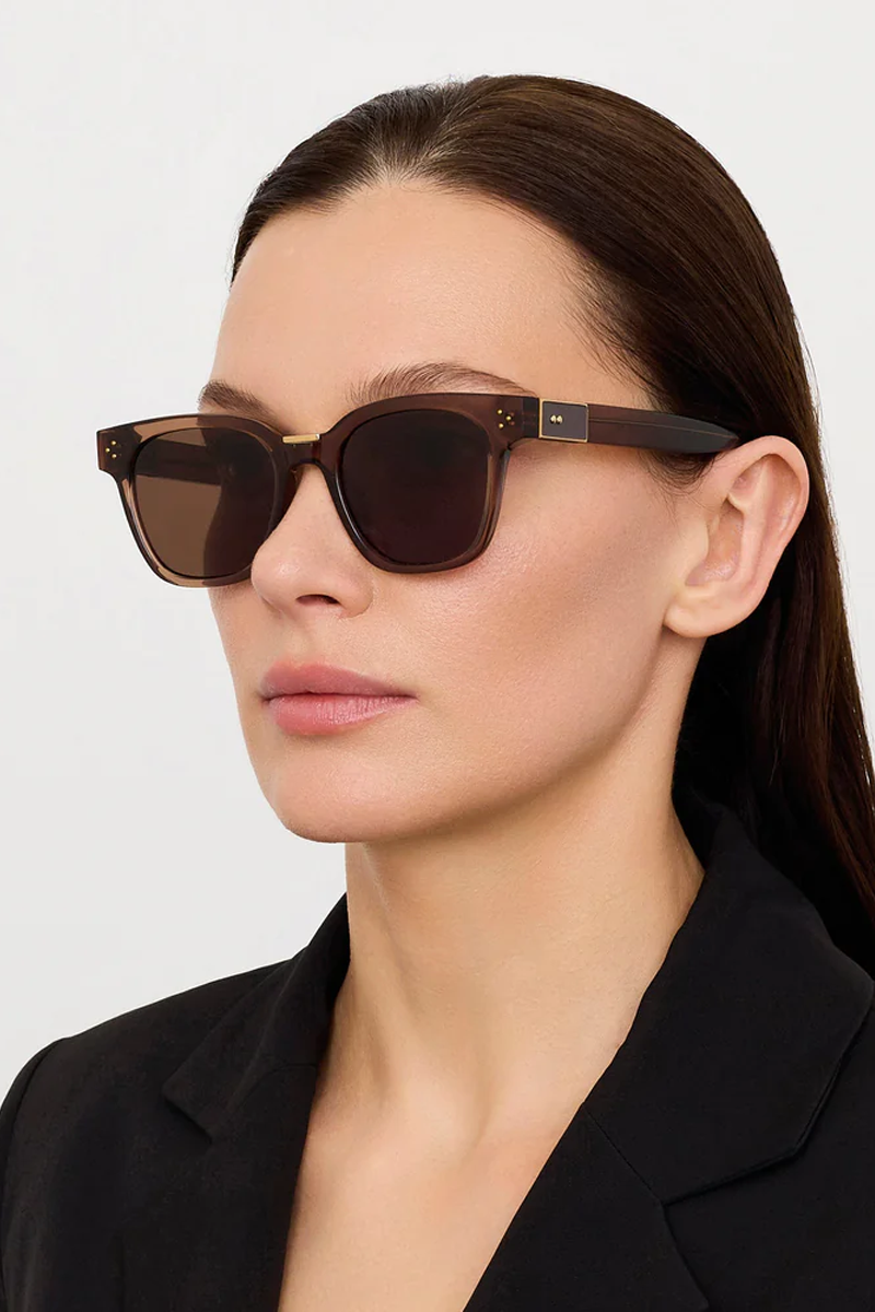 Sanchez Sunglasses in 22K Gold and Brown