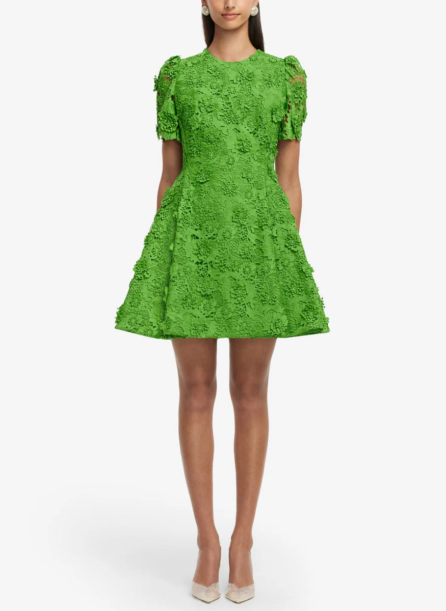 Elyse Lace Short Sleeve Mini Dress - Leo Lin