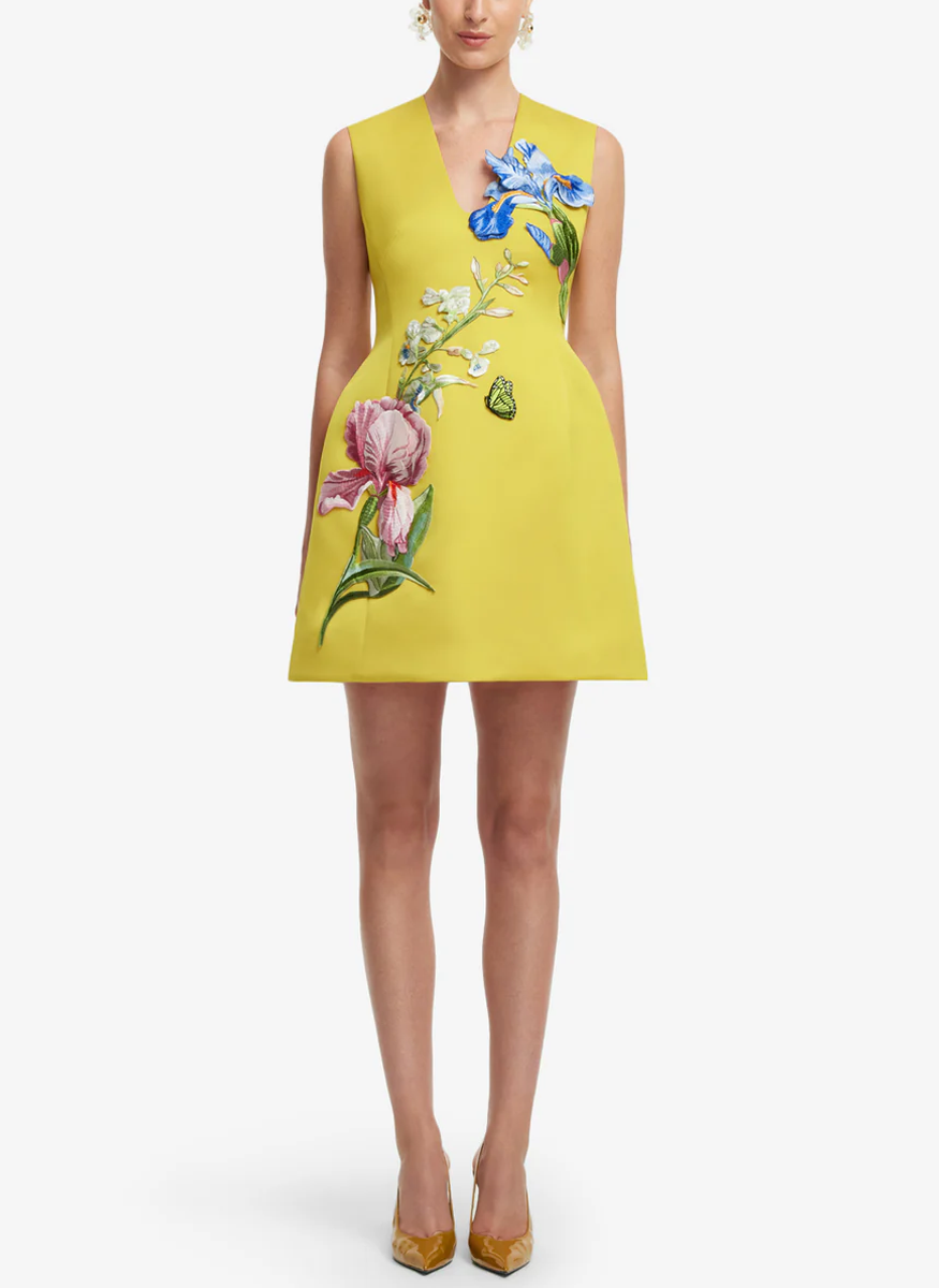 Bree V Neck Embroidery Mini Dress - Leo Lin