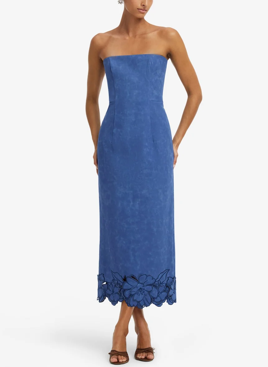 Rayne Appliqué Vegan Suede Bustier Maxi Dress - Leo Lin