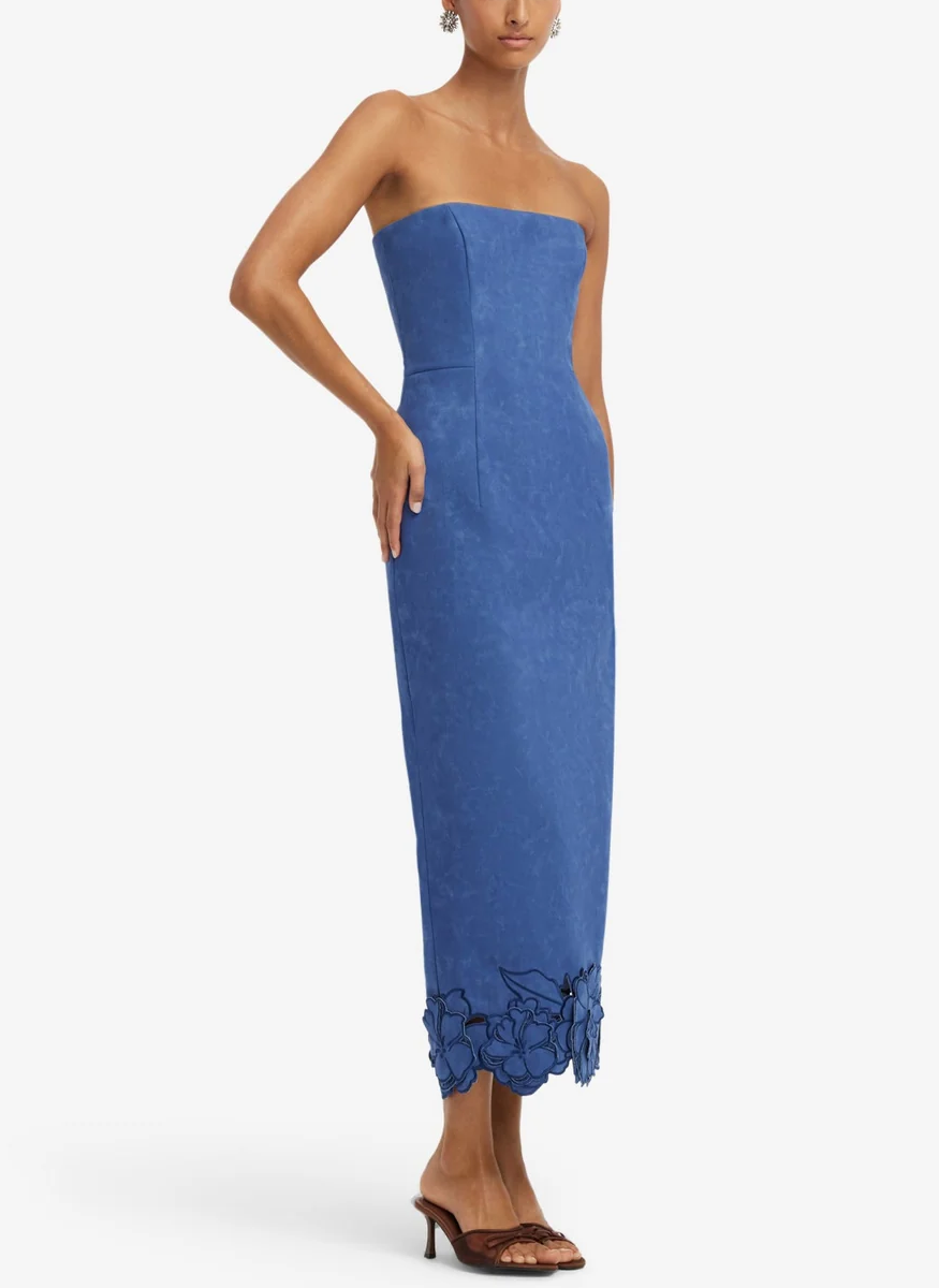 Rayne Appliqué Vegan Suede Bustier Maxi Dress - Leo Lin