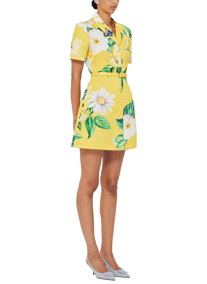 Brigitte Mini Dress - Leo Lin
