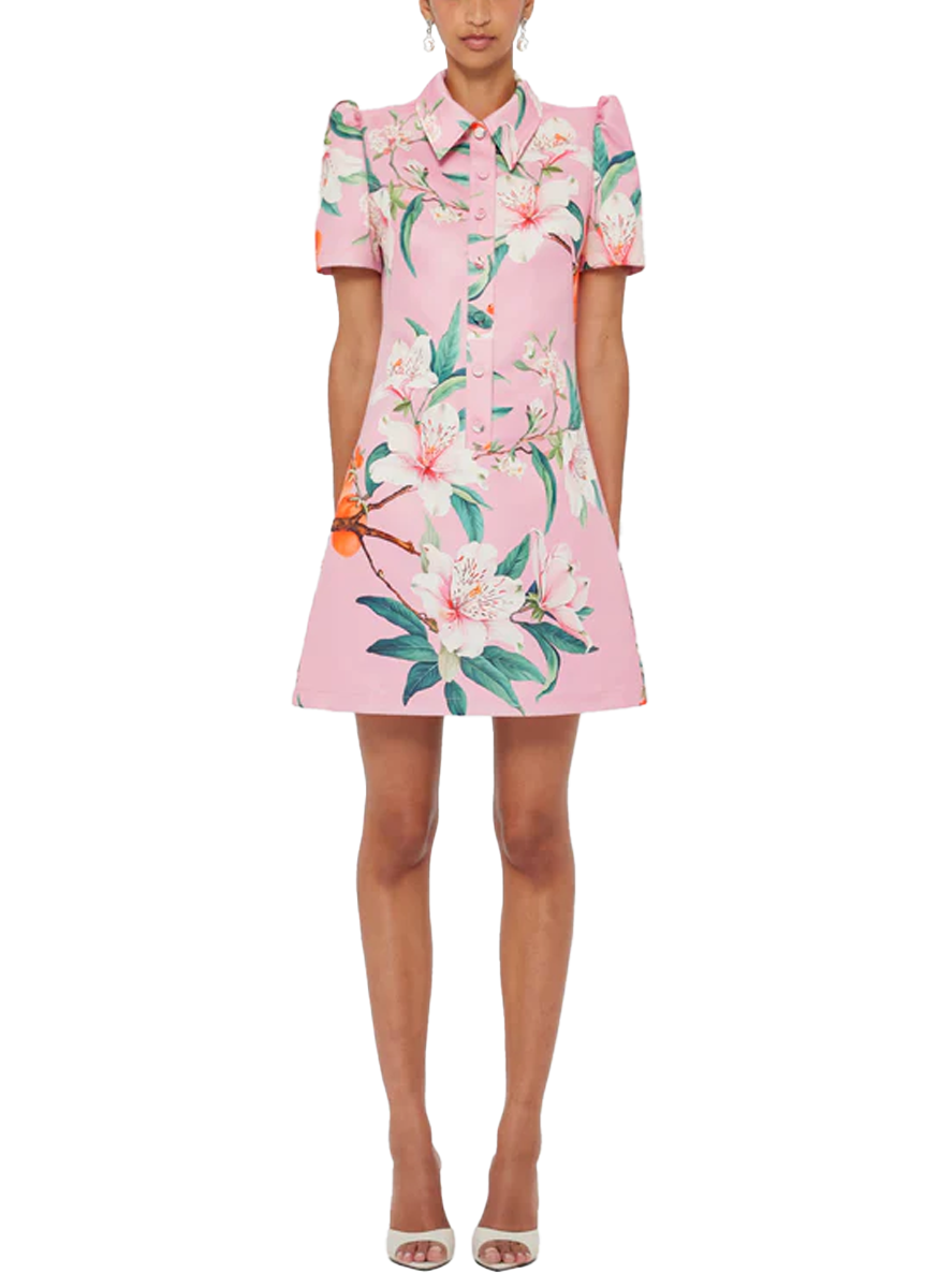 Brooke Mini Dress in Lavish - Leo Lin