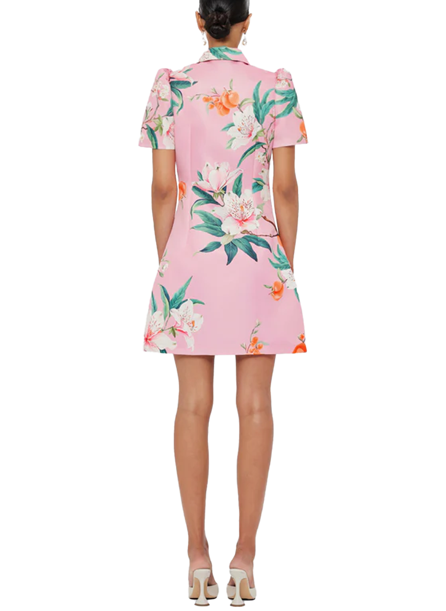 Brooke Mini Dress in Lavish - Leo Lin