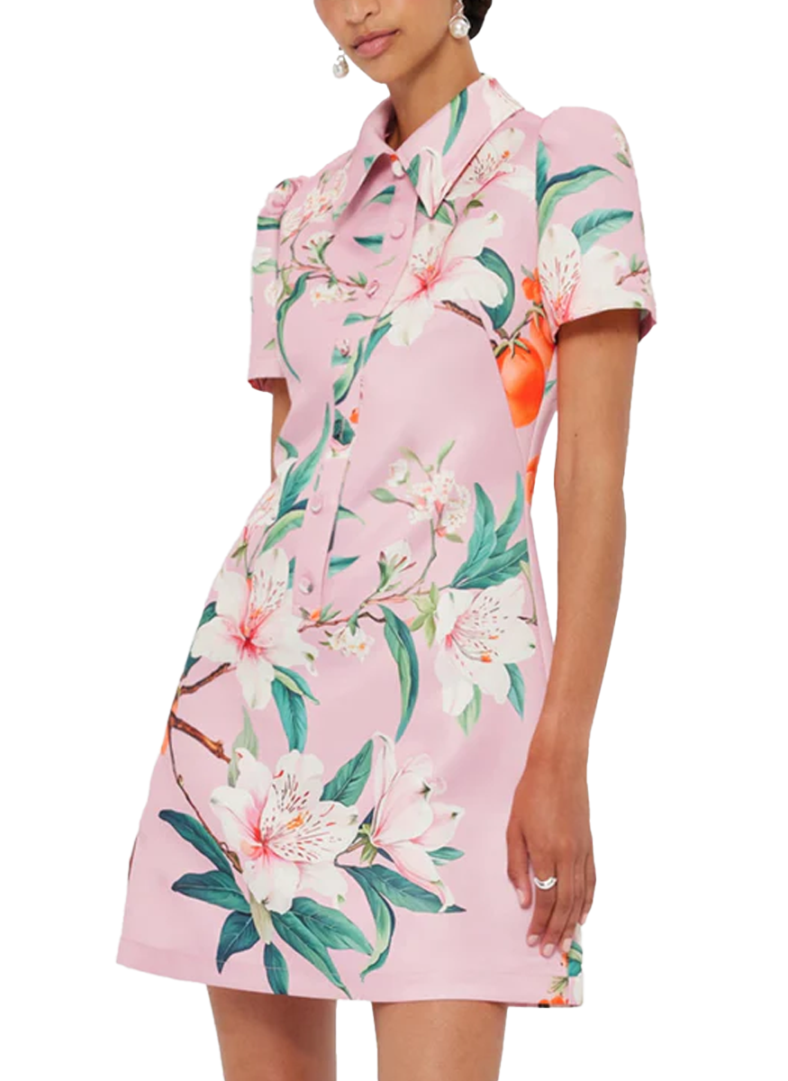 Brooke Mini Dress in Lavish - Leo Lin