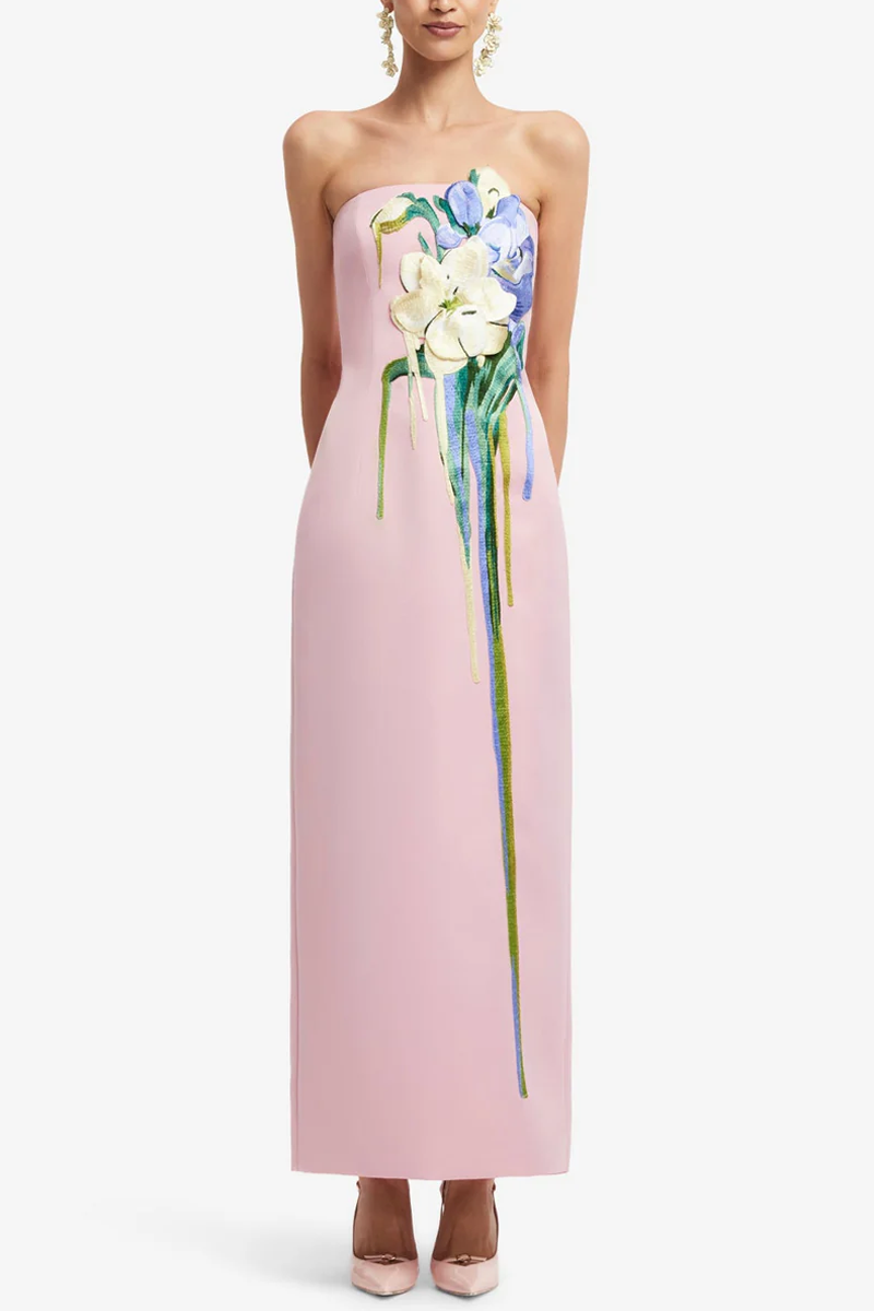 Rayna Embroidered Bustier Maxi Dress Elizabeth Anthony Rayna Embroidered Bustier Maxi Dress Elizabeth Anthony