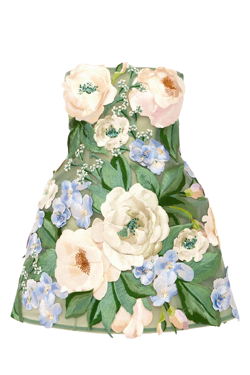 Roselle Floral Hand-Embroidered Bustier Mini Dress
