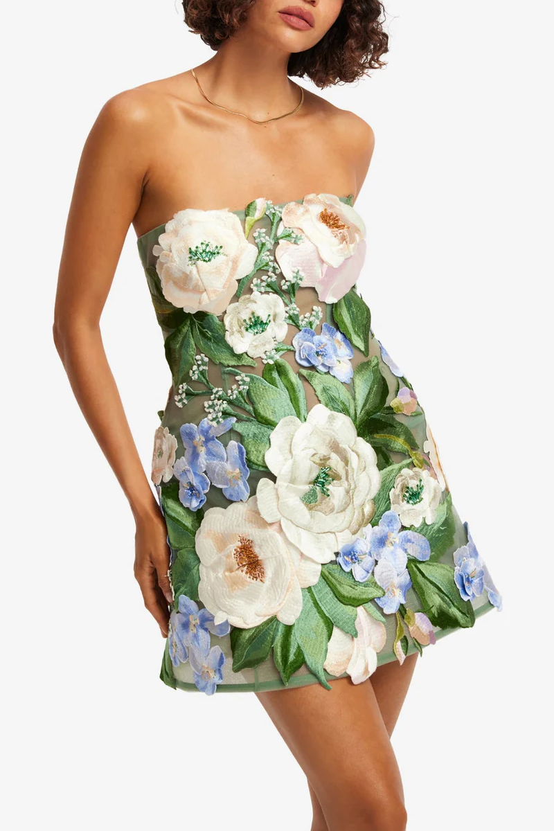 Roselle Floral Hand-Embroidered Bustier Mini Dress - Leo Lin