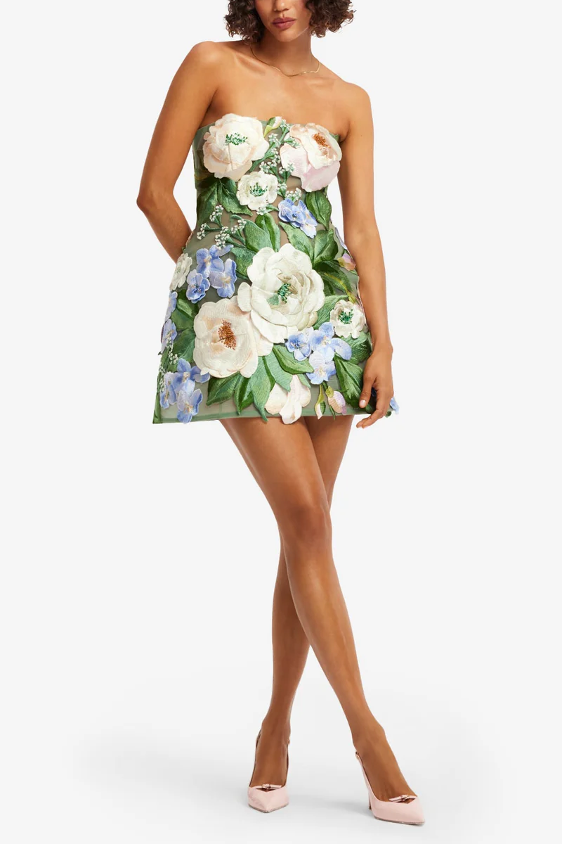 Roselle Floral Hand-Embroidered Bustier Mini Dress