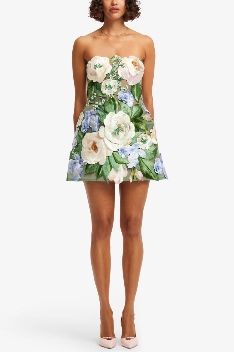 Roselle Floral Hand-Embroidered Bustier Mini Dress - Leo Lin