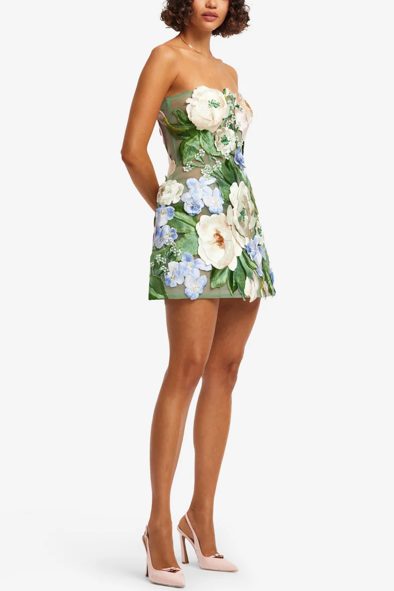 Roselle Floral Hand-Embroidered Bustier Mini Dress - Leo Lin
