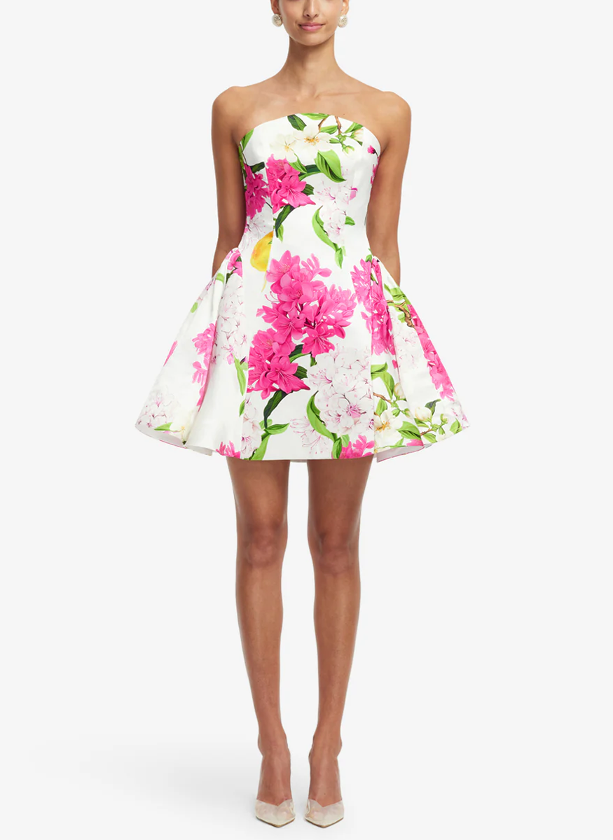 Reese Bustier Mini Dress - Leo Lin