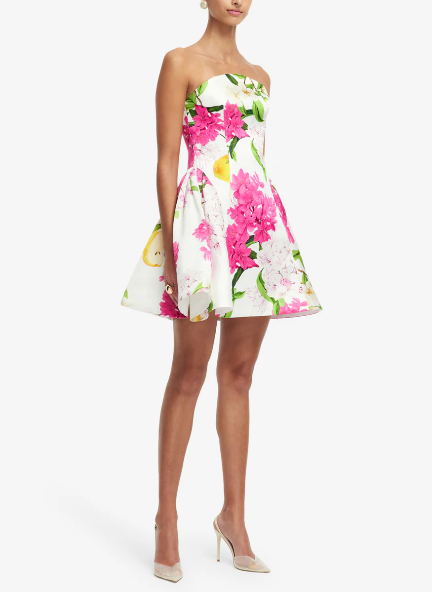 Reese Bustier Mini Dress US2 / FLORAL PINK Reese Bustier Mini Dress US2 / FLORAL PINK