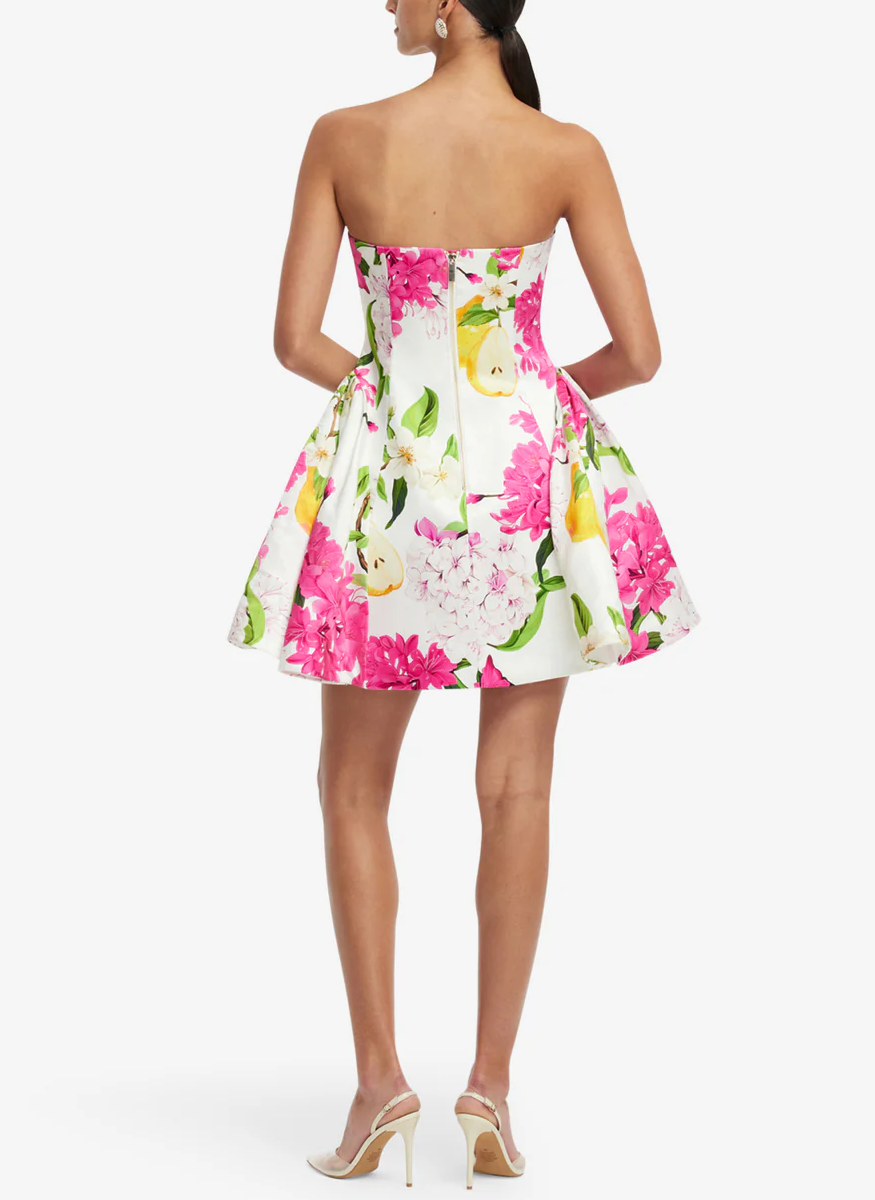 bustier mini dress Reese Bustier Mini Dress US2 / FLORAL PINK
