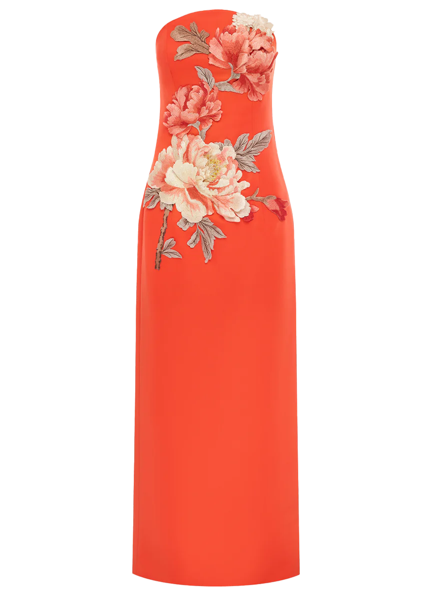 Ava Appliqué Floral Bustier Maxi Dress