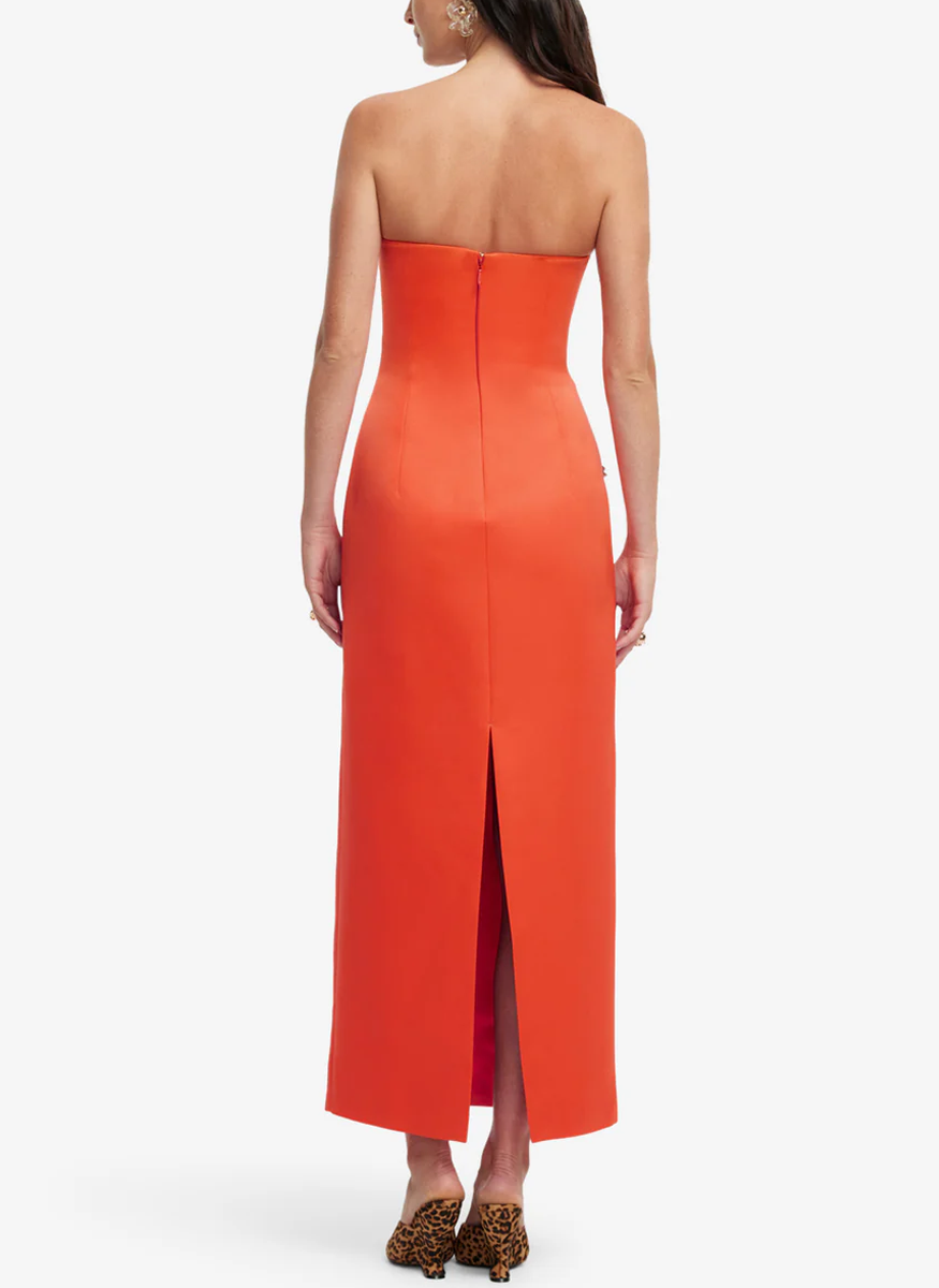 Ava Appliqué Floral Bustier Maxi Dress - Leo Lin
