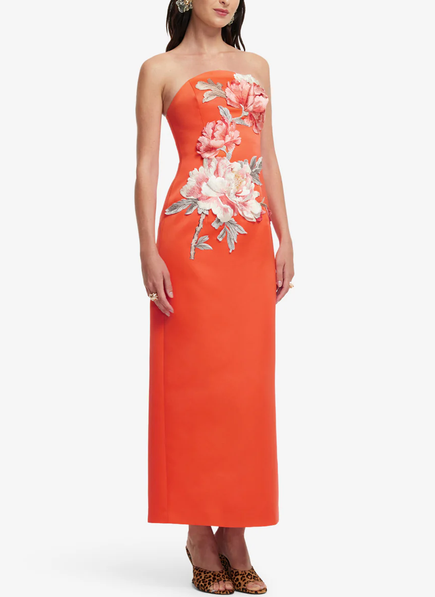 Ava Appliqué Floral Bustier Maxi Dress - Leo Lin