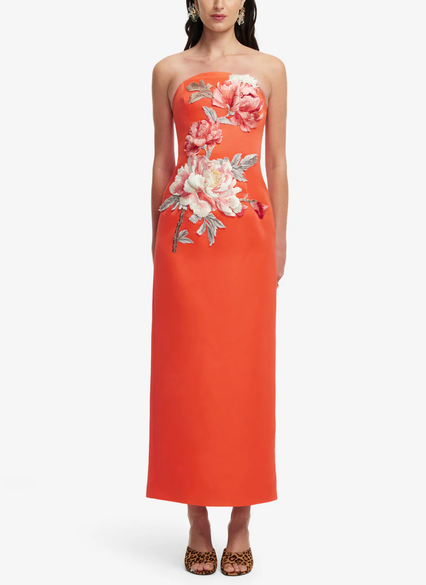 Ava Appliqué Floral Bustier Maxi Dress - Leo Lin