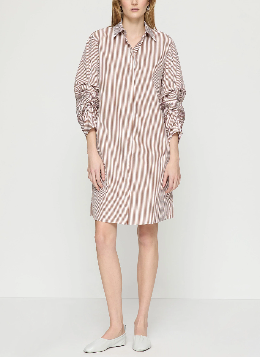 Striped Ruched Sleeve Shirtdress