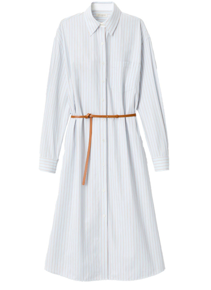 Aurora Stripe Cotton Belted Oversized Shirtdress