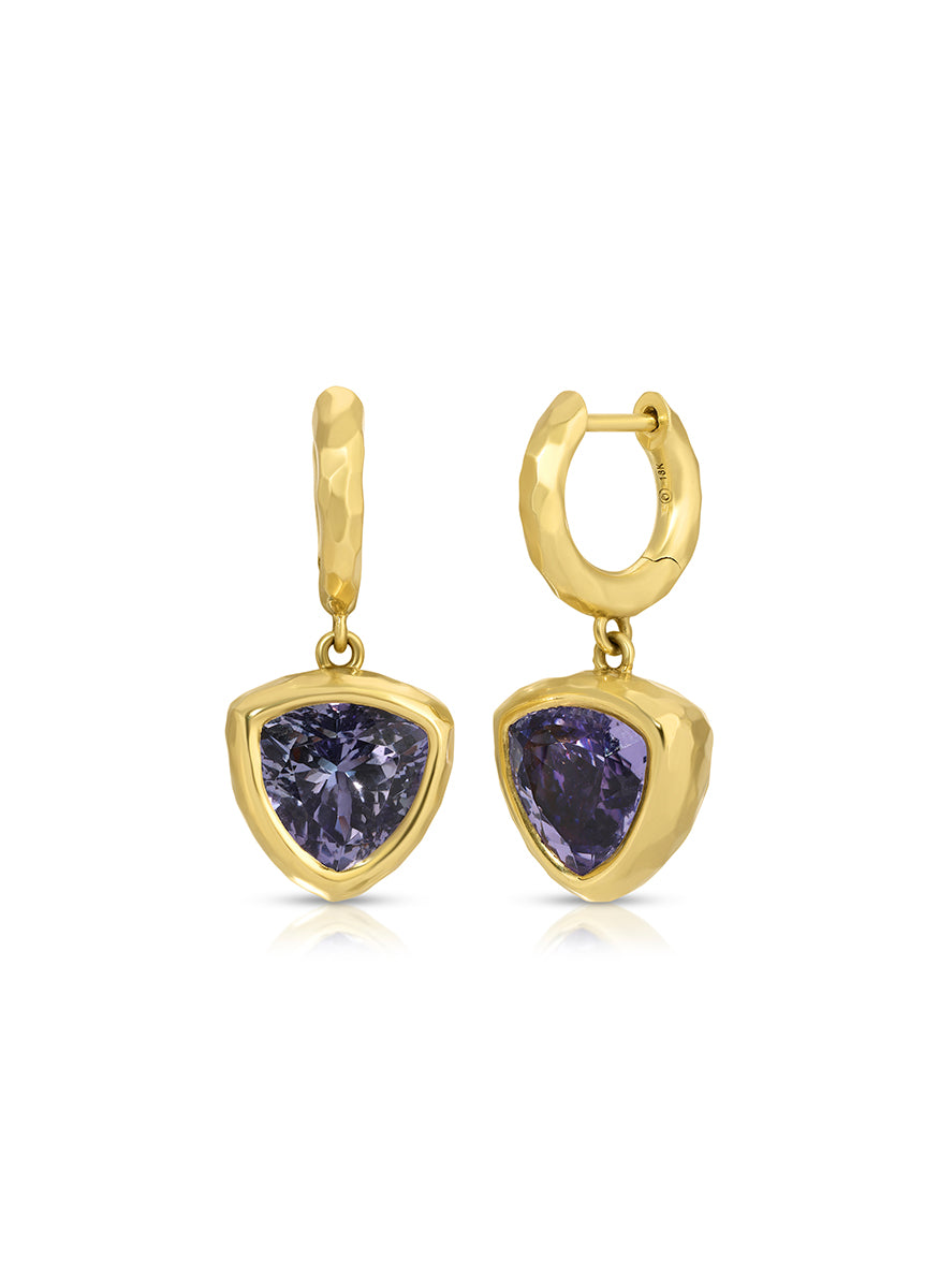 Hidden Gems Tanzanite Earrings