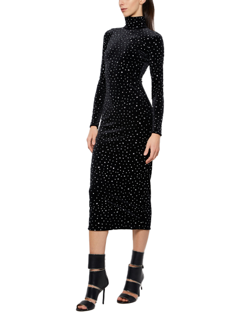 Long Sleeve Crystal Turtleneck Dress S / BLACK/SILVER