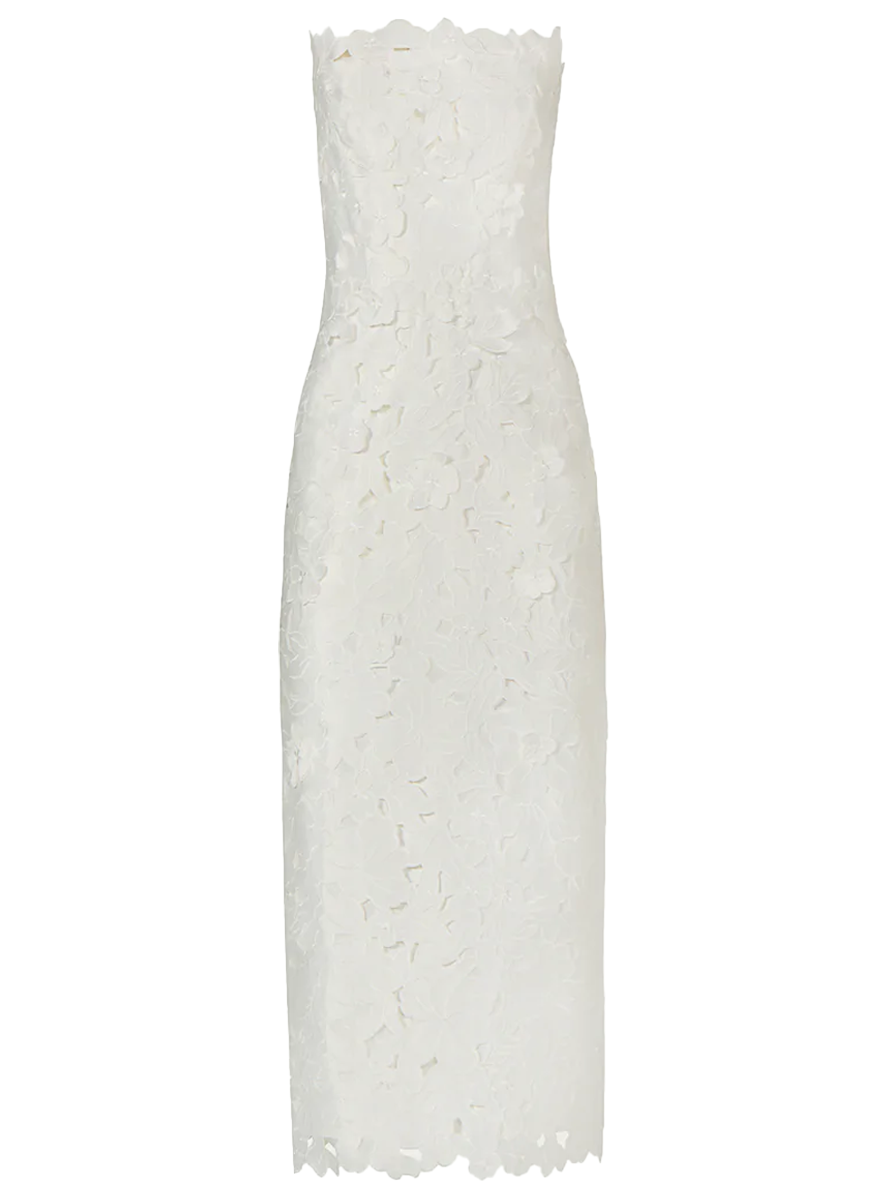 Astelle Floral-Cut Lace Strapless Dress