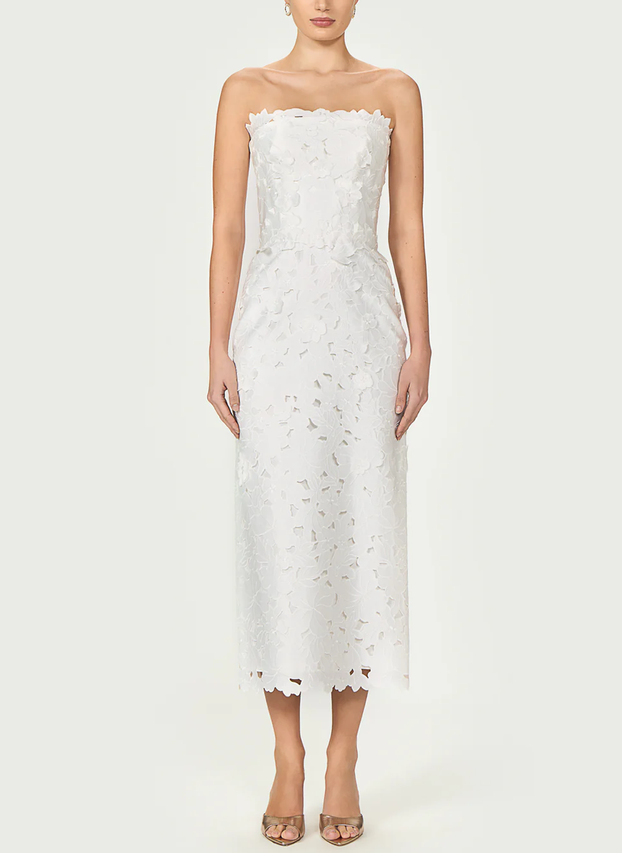 Astelle Floral-Cut Lace Strapless Dress