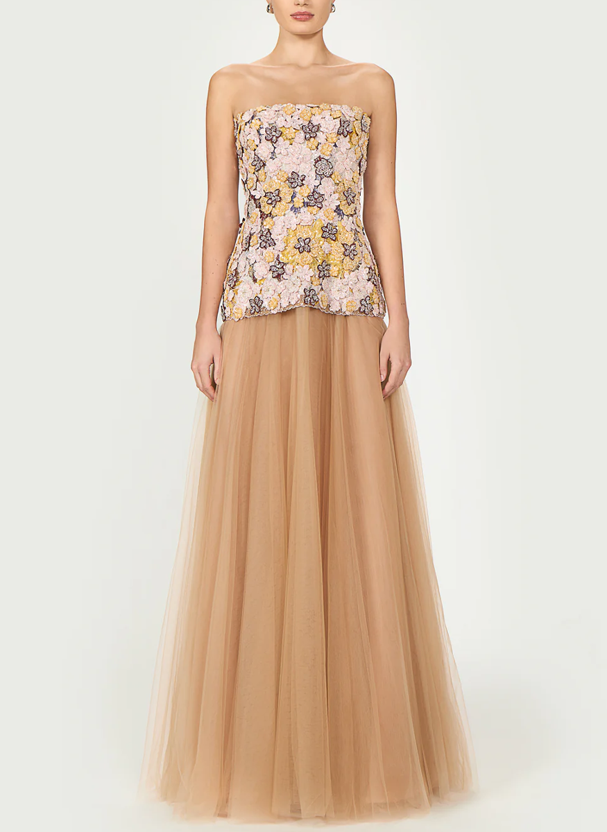 Thia Embroidered Tulle Strapless Dress