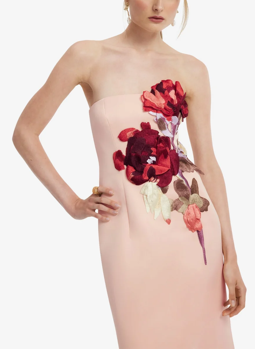 Rayna Embroidered Bustier Maxi Dress - Leo Lin