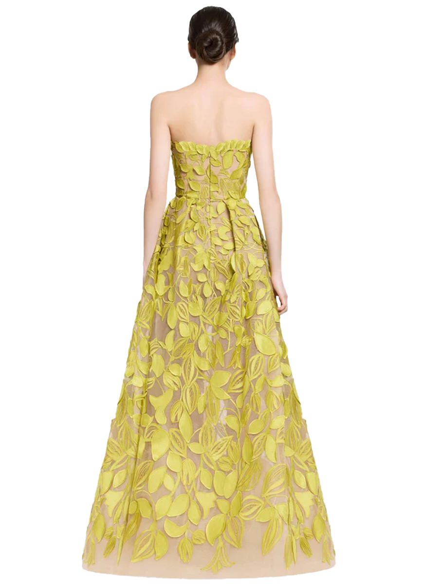 Tulle Embroidered Gown