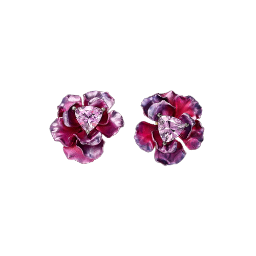 Begonia Rose Studs