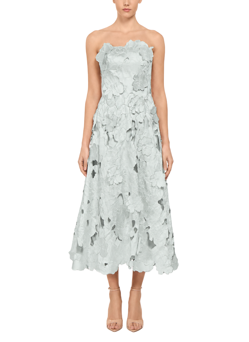 Brissa Embroidered Floral-Cut Satin A-Line Midi Dress
