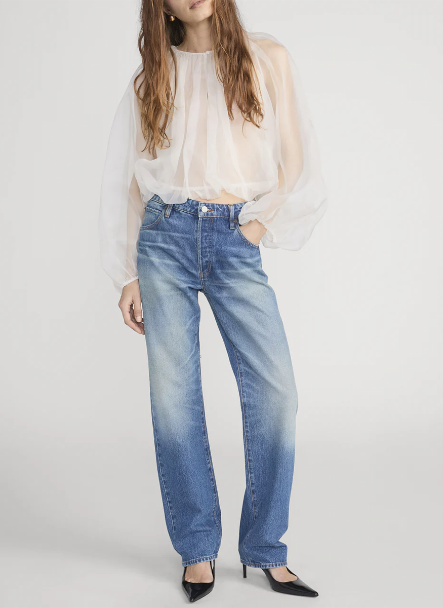 The Sheer Balloon Blouse