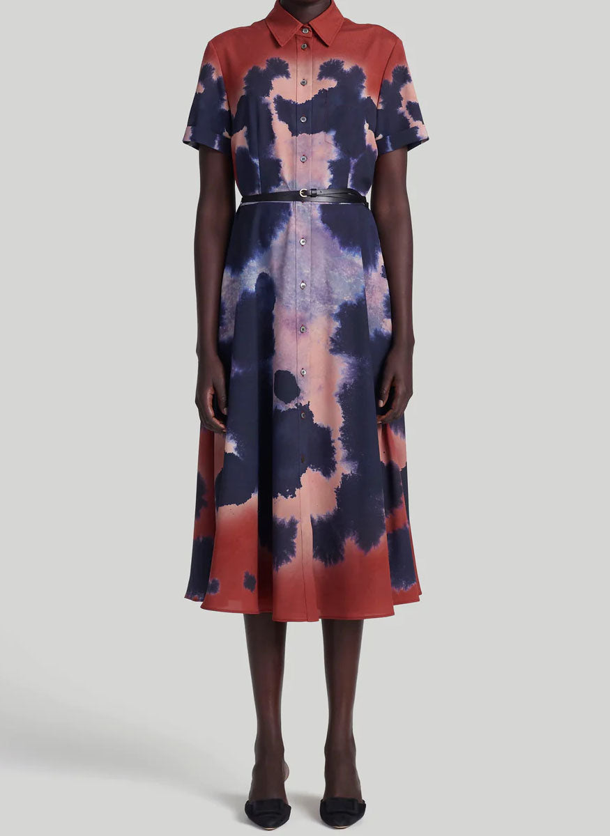 Kiera Ladybug Print Midi Dress