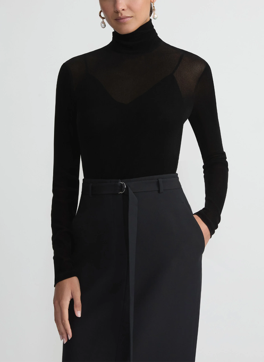 Velvet Mesh Jersey Sheer Turtleneck Top