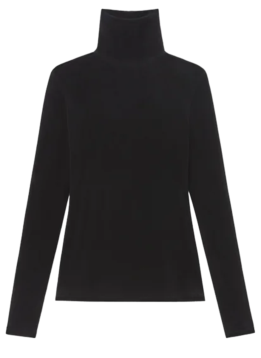 Velvet Mesh Jersey Sheer Turtleneck Top