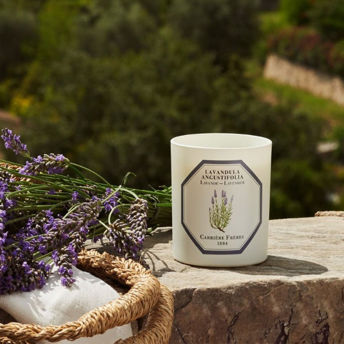 Botanical Candle in Lavender - Lavandula Angustifolia